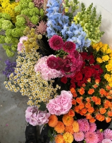 Bright Florist choice